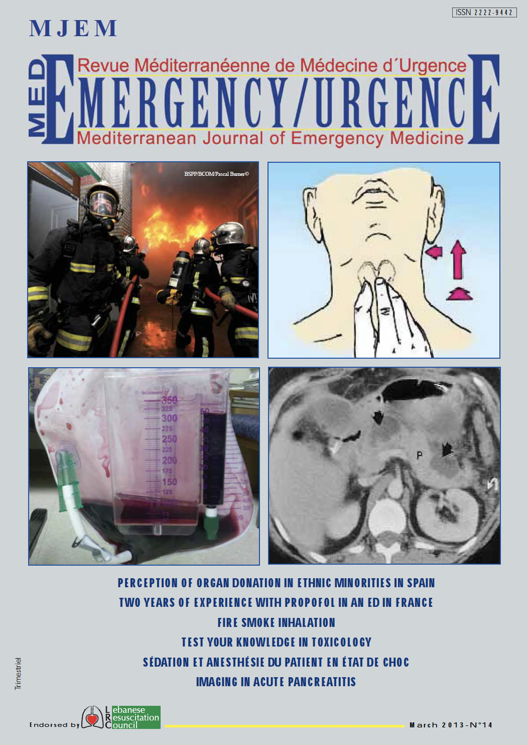 MJEM Vol.14