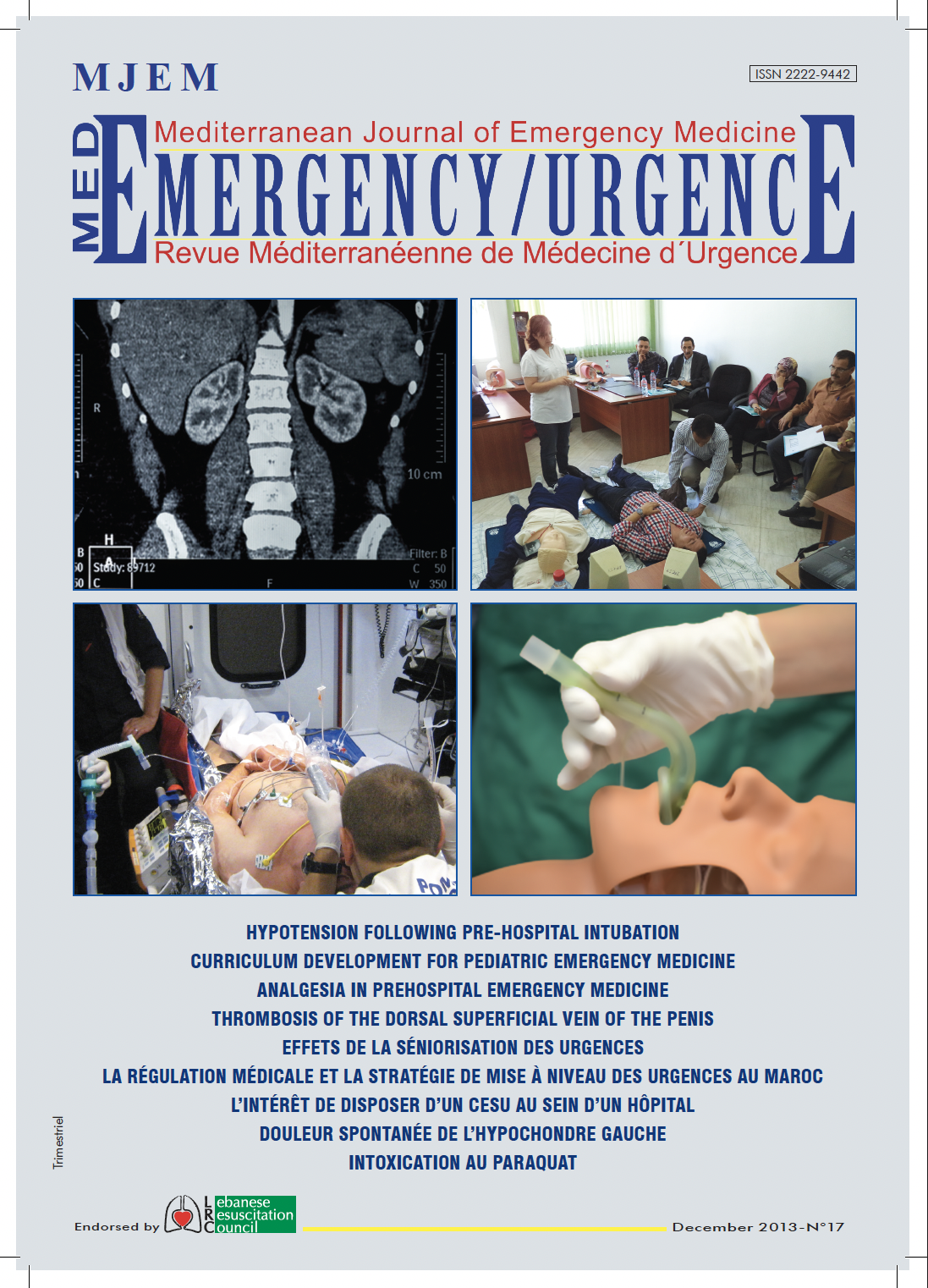 MJEM Vol.17